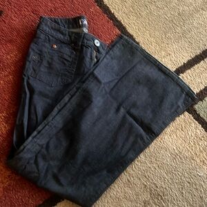 Hudson flare leg pants- tall